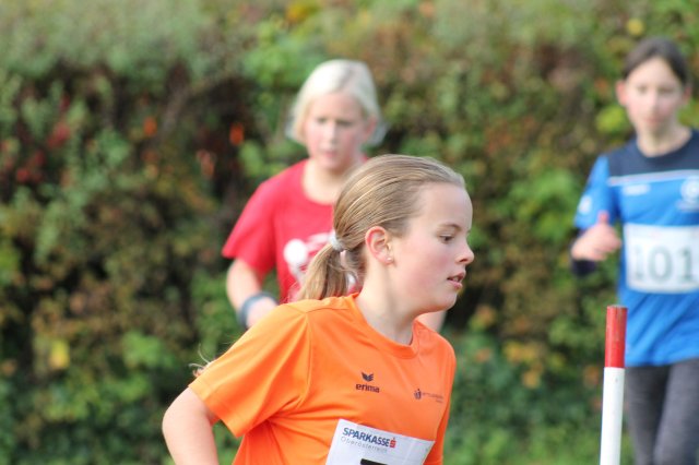 CrossCountryBezirksmeisterschaft_2024